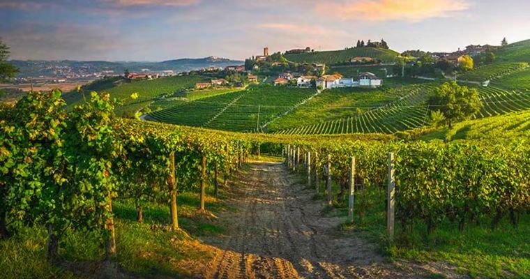 經典中頂級 - 意大利五大酒莊!