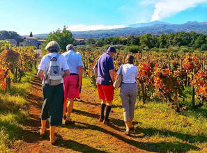 Sicily (西西里島)產區