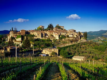 Tuscany （托斯卡納）產區