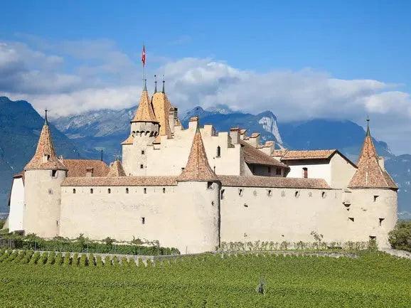 你不能不知的意大利葡萄酒文化