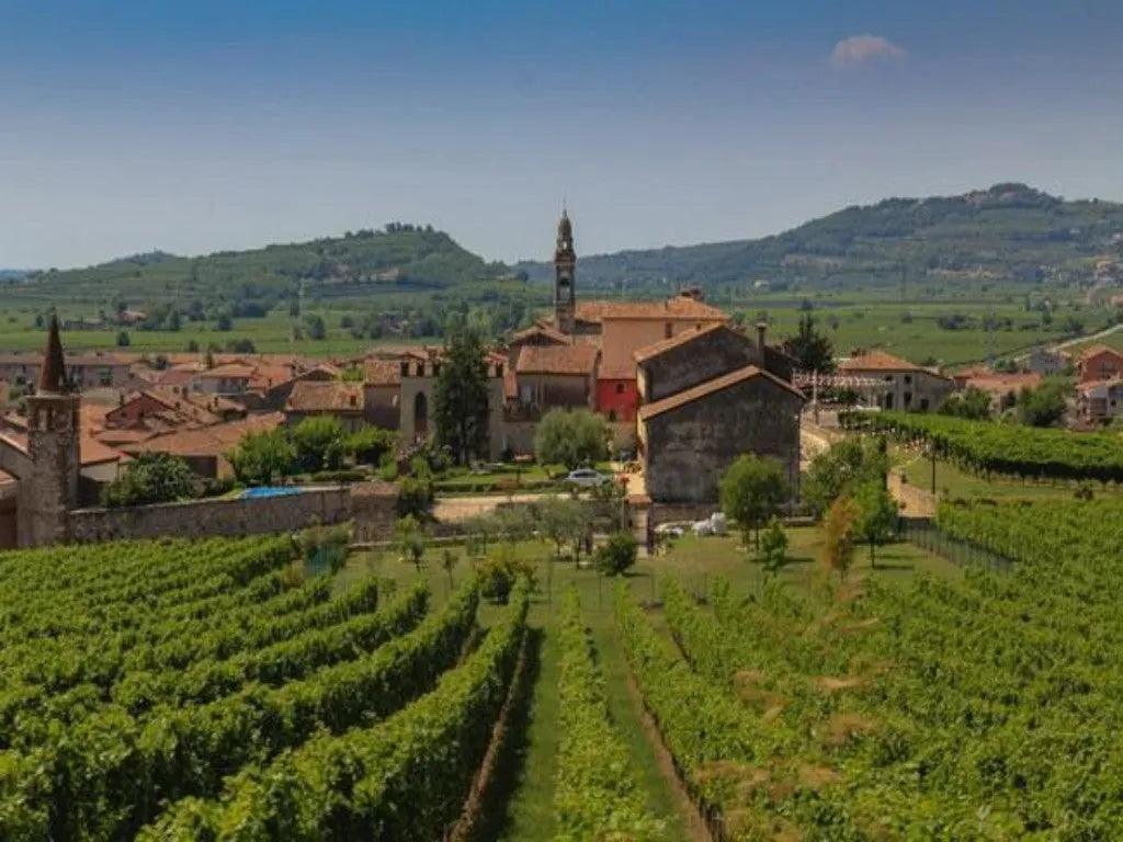 索阿韋減產 保值又保質