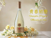 【青春初戀】帕斯卡酒莊氣泡酒︱Pasqua 'Famiglia Pasqua' Moscato d’Asti DOCG, 2022 - 少量現貨!