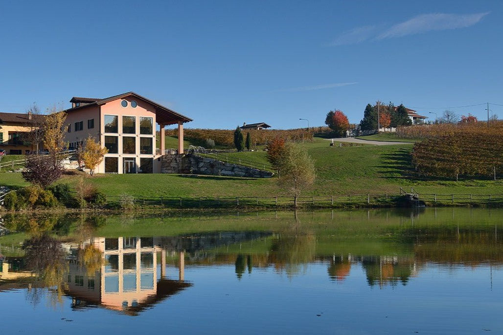 【最矜貴白酒】意大利北部 Gavi 人生一定要一次︱SanSilvestro Gavi del Comune di Gavi Fossili DOCG 2023