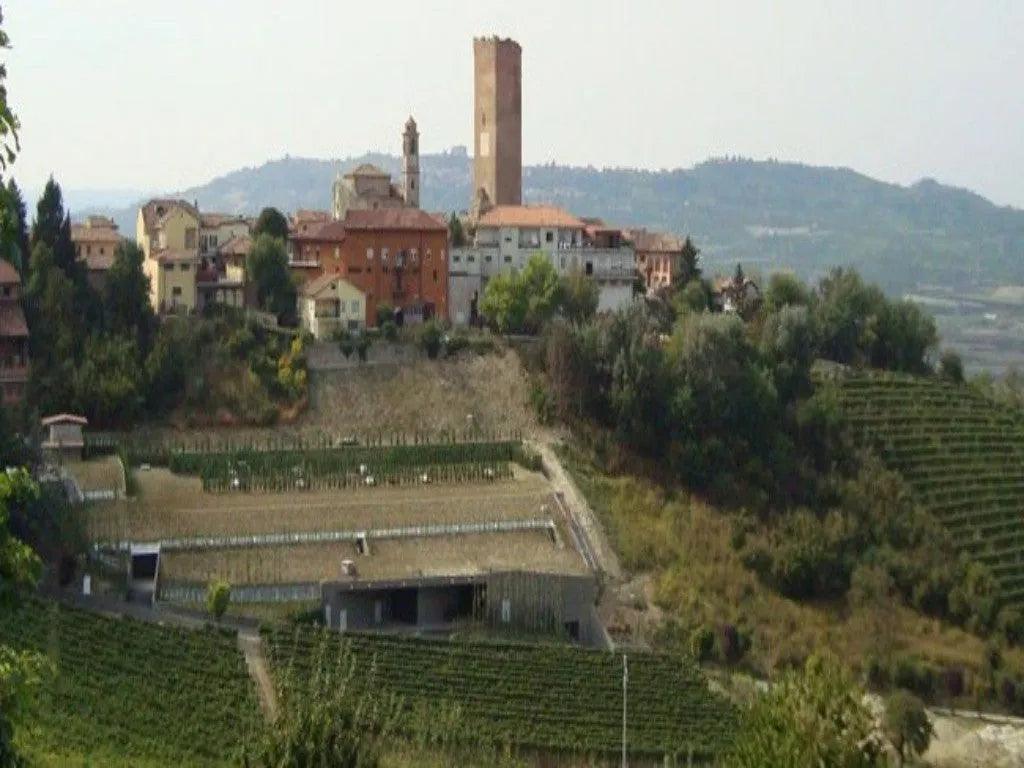 完全不用化肥的種植法 - Carlo Giacosa 卡羅高莎酒莊