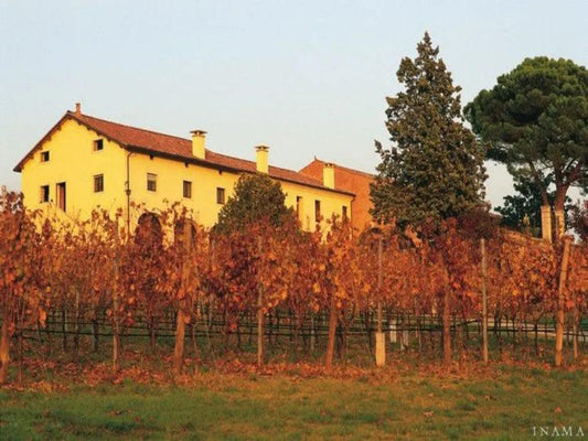 堅持不隨波逐流 - Inama 艾瑪酒莊 - Wine Passions ITALY 頂級意大利酒