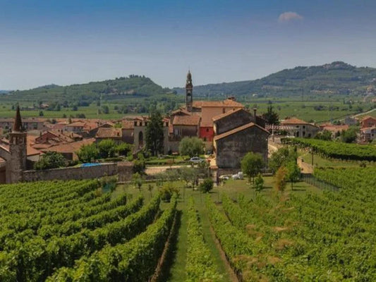索阿韋減產 保值又保質 - Wine Passions ITALY 頂級意大利酒
