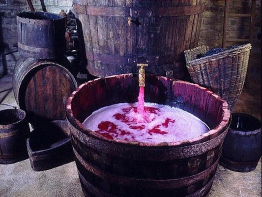 釀造3大法 桃紅葡萄酒就此誕生 - Wine Passions ITALY 頂級意大利酒