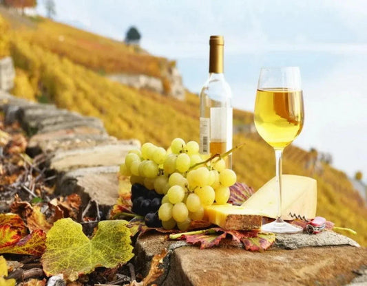 品酒大師專用工具 — 白葡萄酒杯 - Wine Passions ITALY 頂級意大利酒