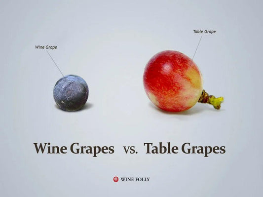 葡萄分兩類 鮮食釀酒要分清 - Wine Passions ITALY 頂級意大利酒