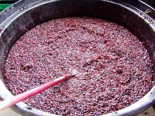 一種葡萄釀出多種酒 發酵過程深度談 - Wine Passions ITALY 頂級意大利酒
