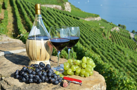 最好飲的意大利酒 意大利10 大最佳酒莊和葡萄園 葡萄酒之王 意大利Barolo 紅酒 喝醉