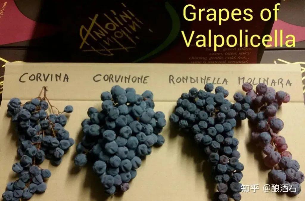 法定產區酒 蒙地•聖都索酒莊紅酒 Valpolicella︱Valpolicella Classico Superiore 2011