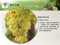 Bottega Gold Prosecco DOC Brut 金樽氣泡酒